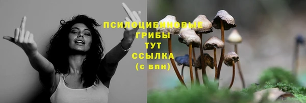 гашик Балахна
