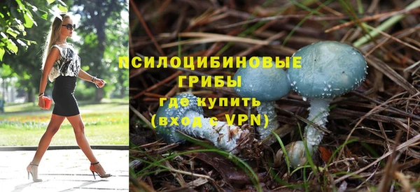 экстази Сафоново