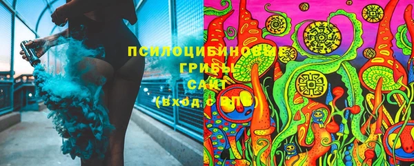 каннабис Белокуриха