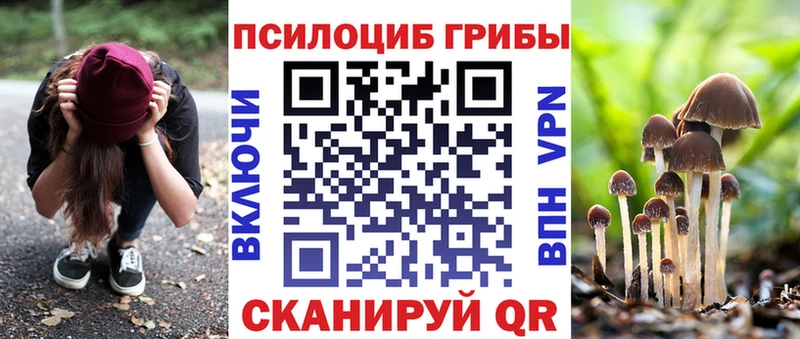 мориарти какой сайт  Нея  Псилоцибиновые грибы Psilocybe 